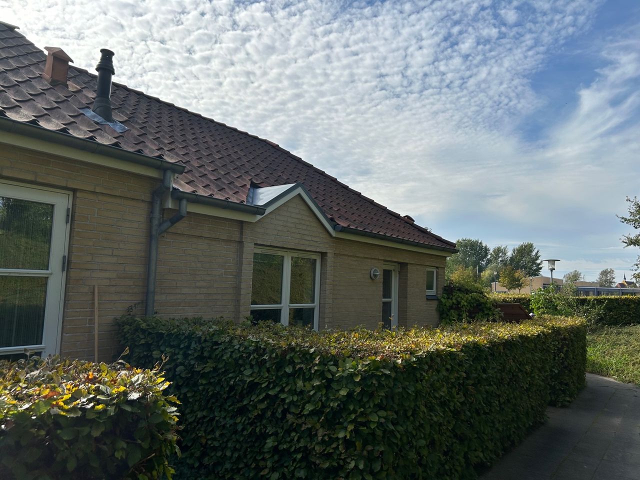 image 04